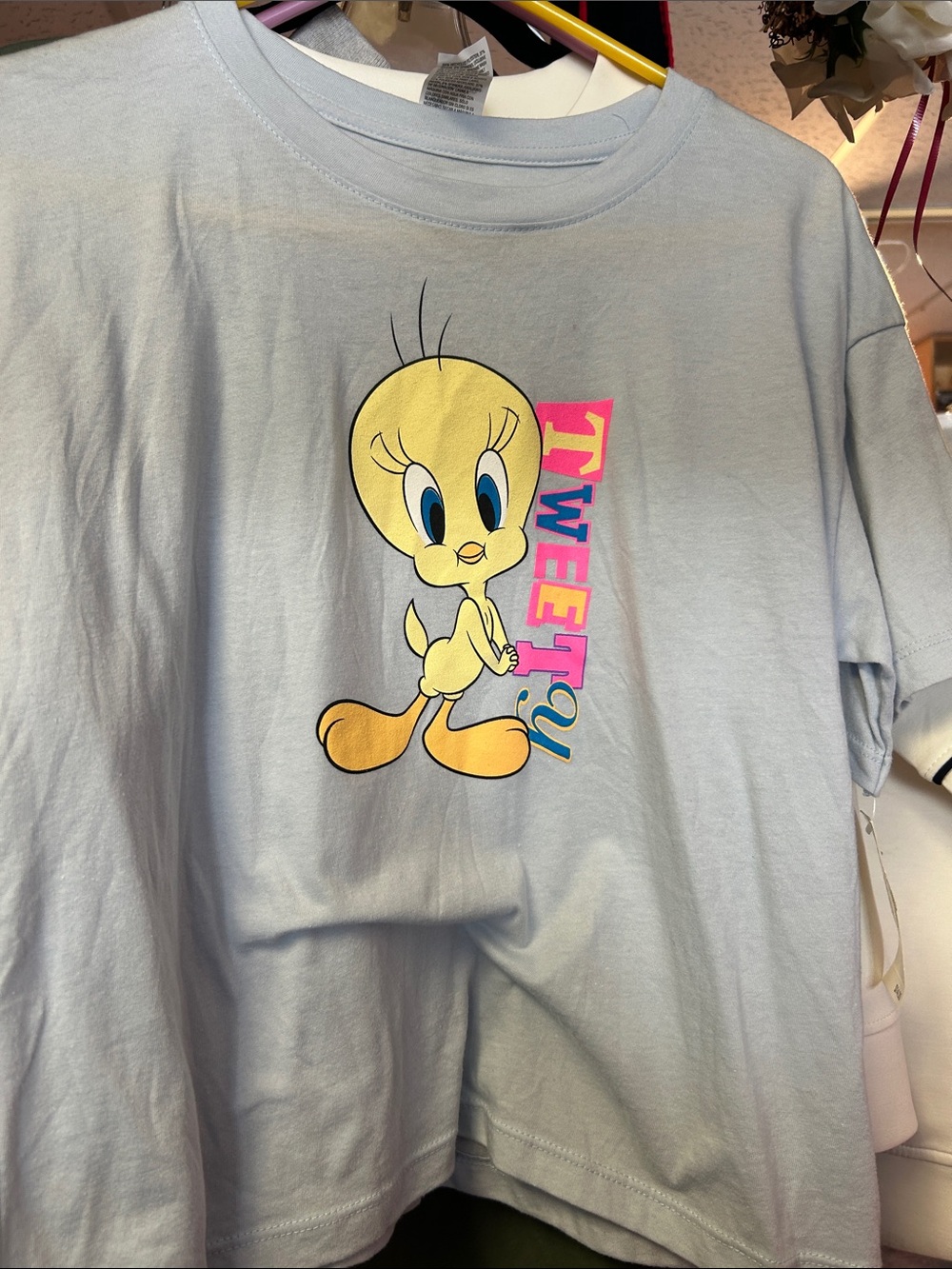 Tweety Graphic Short Sleeve Tee - Light Blue